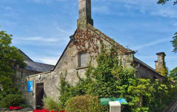 North Down Museum